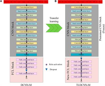 Rapid earthquake magnitude estimation combining a neural network and transfer learning in China: Application to the 2022 Lushan M6.1 earthquake